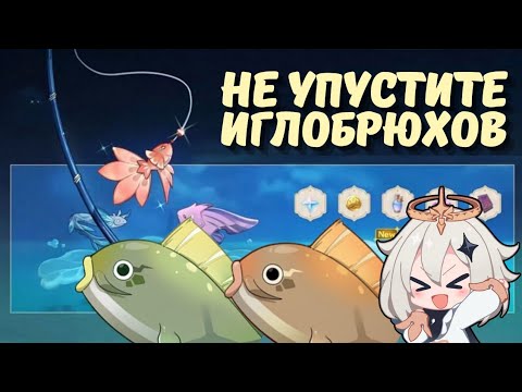 Какую рыбу ловить на ивенте часть 2 - Genshin Impact