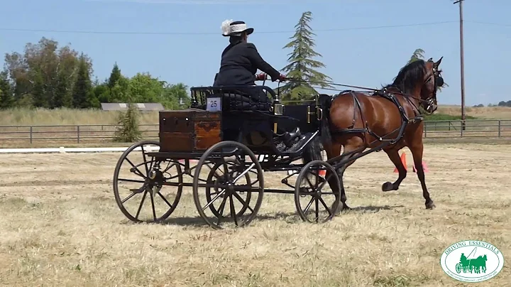 Northern California Driving Club CDE 2019 - Theres...