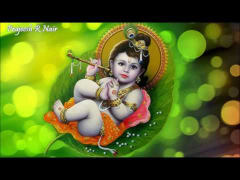 Ksheera Sagaram Thulumpum Sreekrishna Devotional Song Prajeesh
