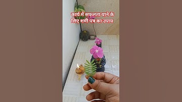 शिव महापुराण #कार्य में सफलता पाने के लिए शमी पत्र का उपाय  #pandit_pradeep_ji_mishra #vtuber