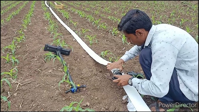 Tuyau d'irrigation pré-percé 30m sprayer intégré - Netafim 8mm pour système  de culture