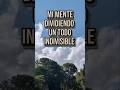 Mi mente dividiendo un todo indivisible.