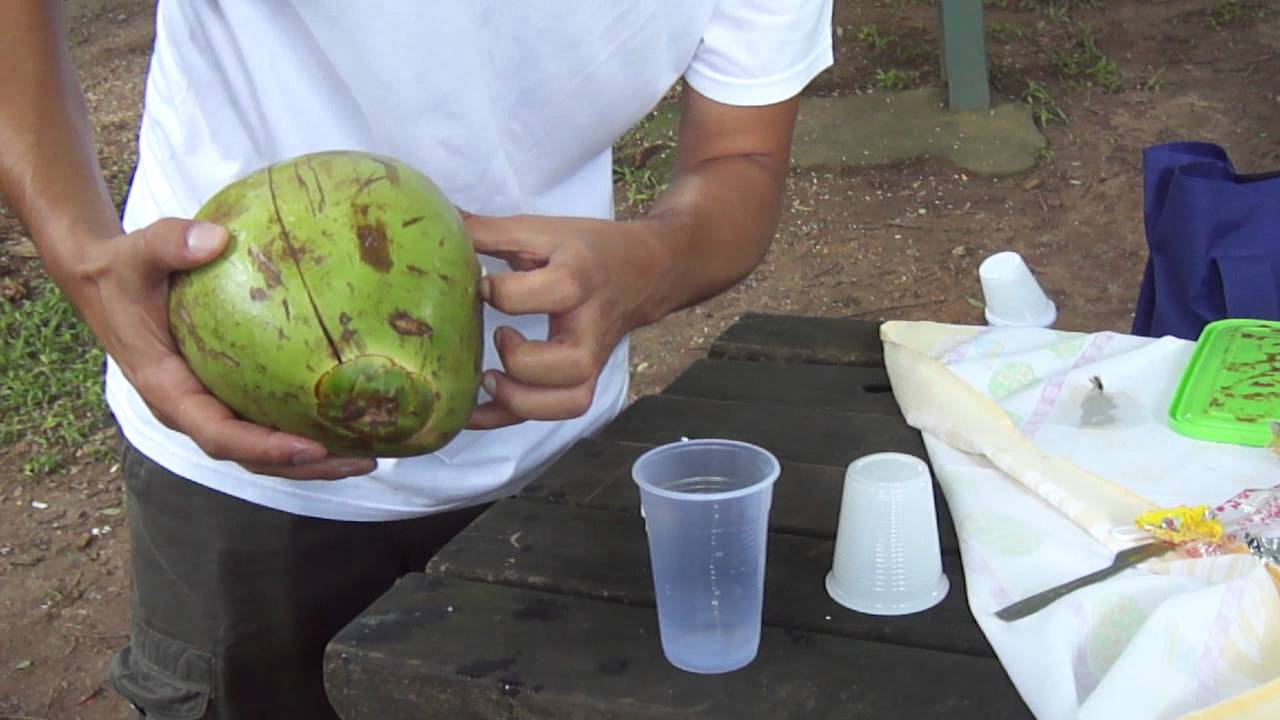 Resultado de imagem para fotos de homem cortando coco verde