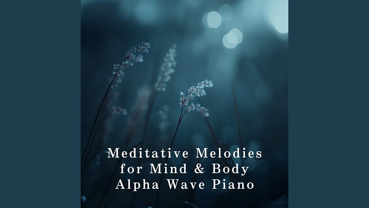 Delicate Steps through Wonder