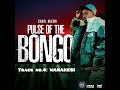 Canal Mjeuri Wanakesi Track No 4 PULSE OF BONGO