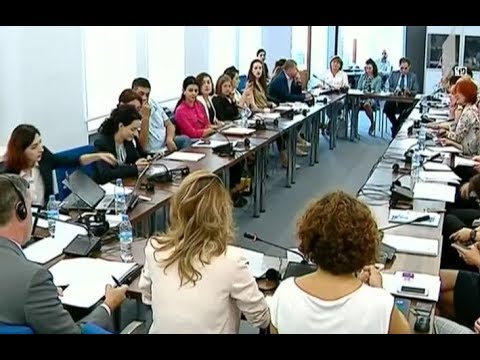 „საქართველოს დემოკრატიული ინიციატივის“ ანგარიში