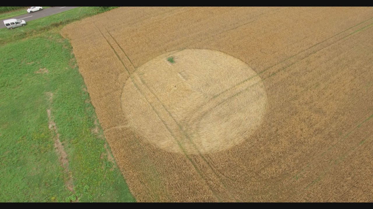 Kanizsa TV Híradó - Gabonakör jelent meg Nagykanizsa határában