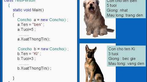 video lap trinh huong doi tuong