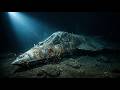 I Rescued a Su-57 Felon Fighter Jet Restoration from the Ocean Floor