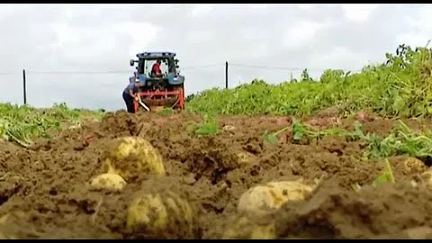 The Investigators Series II   Crops Part 1- Denis Griffin