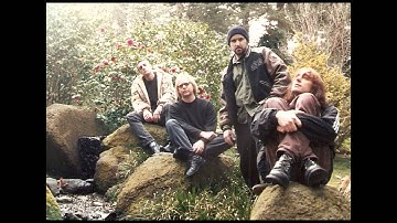 Torn Memory - Thru The Gate - Organic