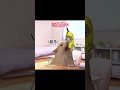 恋人に求められたらどうする？ #猫ミーム