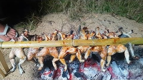 Câu Cá Cho Má Nấu Canh Chua ll Ếch Nướng Mọi Bên Sông ll Minh Tiến Vlog