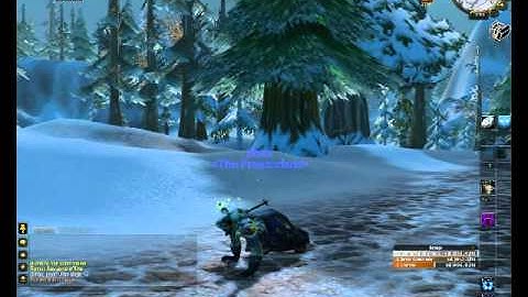 Blizzard Worgen Bug Running wild change form