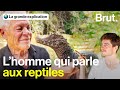 Serpents crocodiles lzards philippe vit avec plus de 400 reptiles