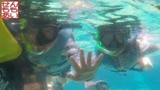 シュノーケリングをするせんもも Rainbow Reef Snorkeling