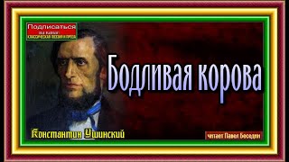 Бодливая корова Константин Ушинский читает Павел Беседин Бодливая корова Константин Ушинский читает Павел Беседин
