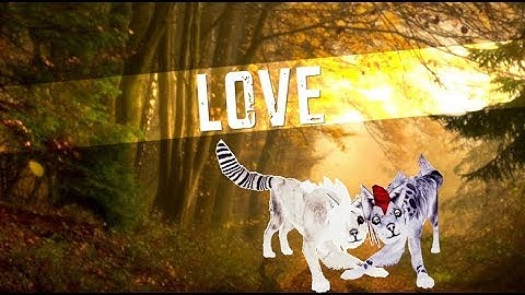 Feral Heart - Could Be Love [SHORT]