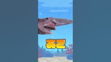 キモがられてしまう深海ザメ【ミツクリザメ】