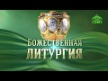 Божественная литургия их Храма Христа Спасителя. 15.02.2018. Сретение Господне