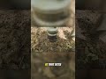 Why I Love My Wood Stove for Wilderness Coffee