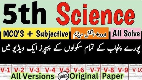 class 5 Science Paper 2024 SBA 2nd term 5th Class science paper class 5 science ka paper