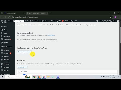 How To Reinstall WordPress Without Losing Data in Hostinger