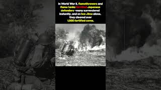 Flamethrowers in World War II: A Decisive Weapon #MilitaryHistory, #PacificWar, #History