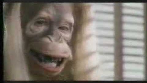 Donkey Kong Country 3 Dixie Kong