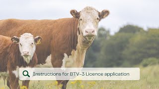 Bluetongue Virus-3 (BTV-3) Application for Vaccine