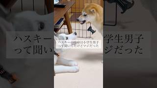 永遠の小学生 #shorts