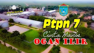 Download Lagu Ptpn 7 Cinta Manis Ogan Ilir Sumatera Selatan | View Drone Mavic Mini MP3
