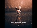 Hidden secret  reflection  official