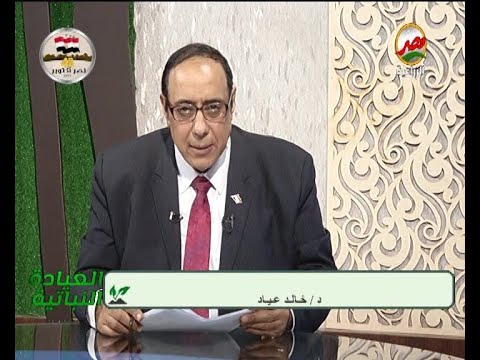 فيديو: آفات البنجر