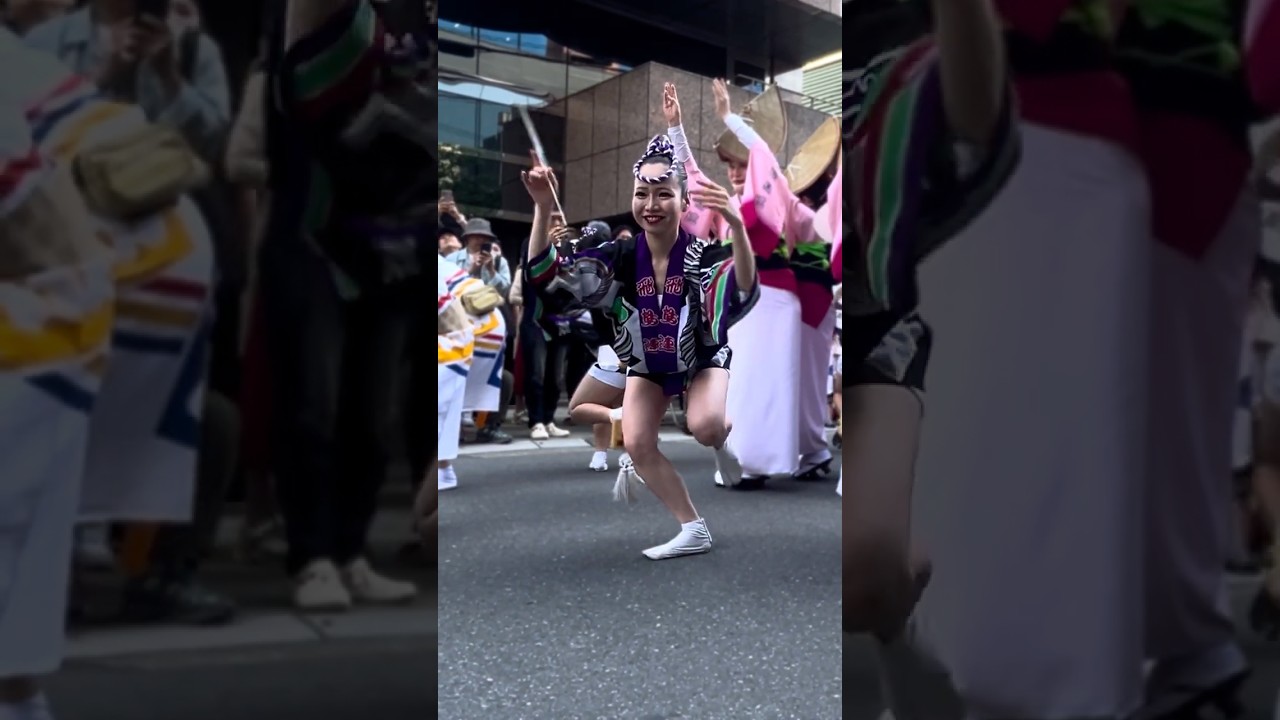 【阿波踊り2026|飛鳥連】 優雅に美しく舞う女法被踊り！【浅草橋紅白マロニエまつり】 #shorts