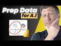How to Prepare Your Data for AI in Power BI!