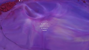 "Unlocking Typing History: The Word 