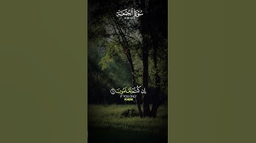 قرآن كريم | سورة الجمعة | الشيخ عامر السعيدي #اكتب_شي_تؤجر_عليه