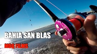 BAHIA SAN BLAS - BUENOS AIRES - ARGENTINA