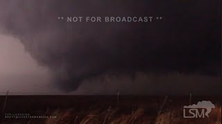 03-13-2024 Alta Vista, KS  - Tornado - Tees Down Across The Roads - Hail