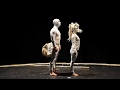 DISCONNECTION - contemporary horse circus show TRAILER