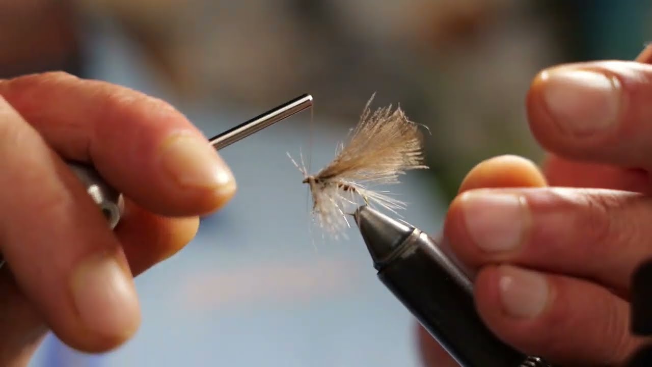 Salon Muret 2026 Riccardo Sensidoni