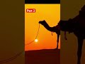 Gayism origin part2 | Qaum e loot #shorts #status #islamicstatus #trendingnow #roadtorighteousness