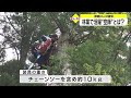 林業で活躍、「空師」とは？課題は人材確保　石川県白山市の作業現場を取材