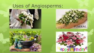 Characteristics of monocot and dicot plants.