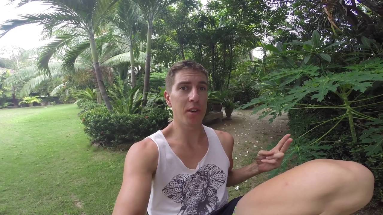 Straight Edge Vegan HARDCORE! 6 months of no alcohol