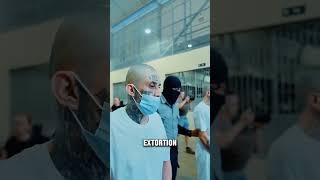 The Shocking Reality of MS-13 & Barrio 18 Gangs