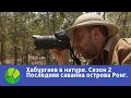 Последняя саванна острова Ронг - Хабургаев в натуре | Живая Планета