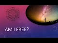 Am I free? Do I have free will?