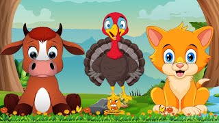 Lovely Animal Sounds: Turkey, Guinea Pig, Civet, Pigeon,... | Animal Moments